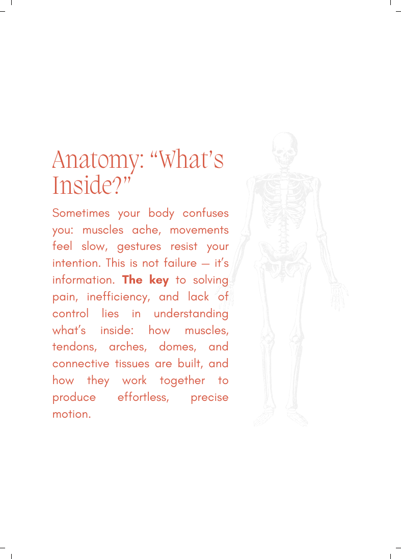 Keystone Texts anatomy page with a skeleton illustration